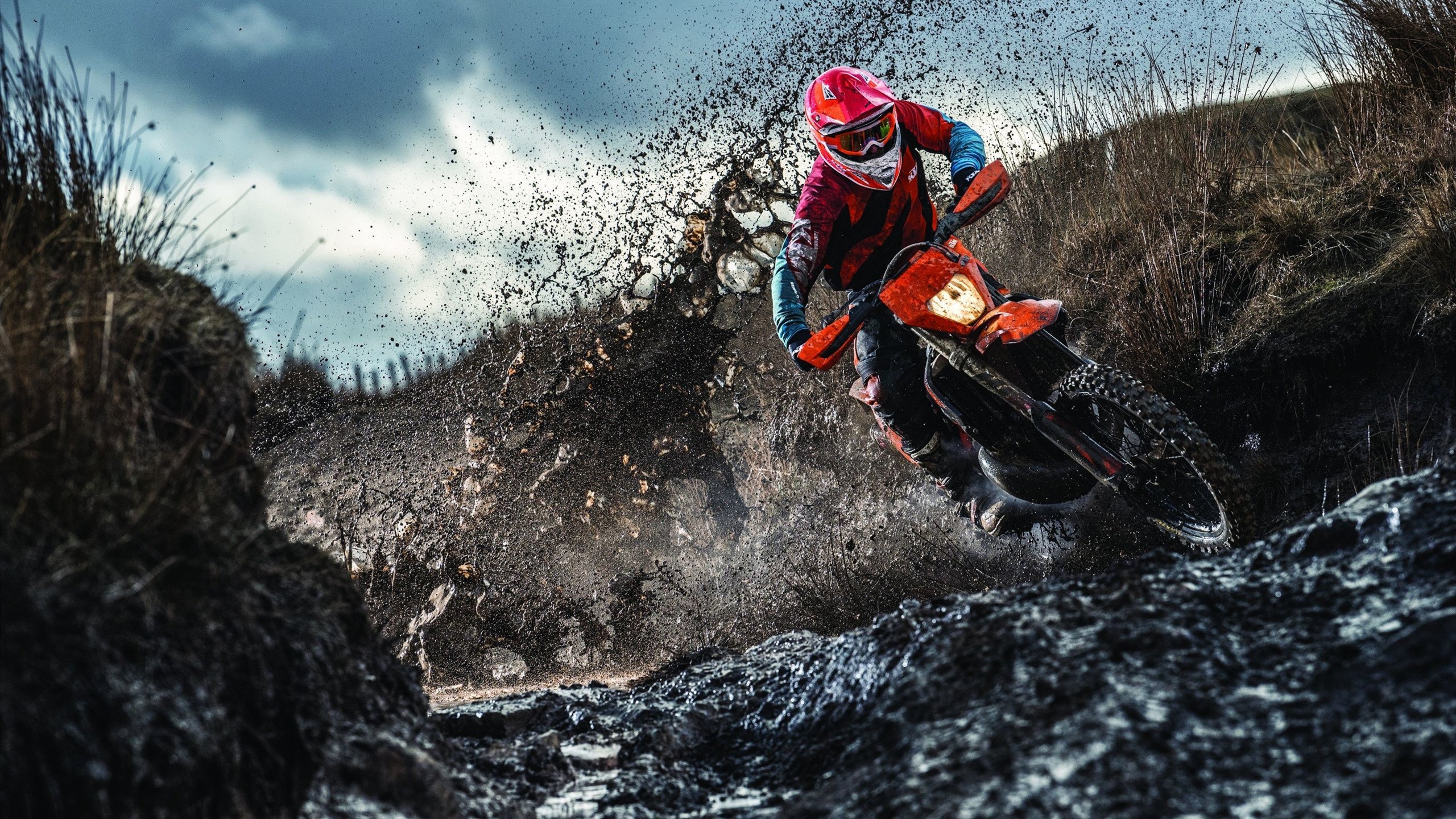 公牛进攻火力全开,连胜势头延续,公牛集锦